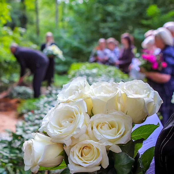 Roses in cemetery with people in the background. Funeral in cemetery;  White roses in cemetery. Prayer at the tomb. Funeral ceremony. White roses at funeral near the grave.